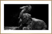 JUNIQE - Poster met kunststof lijst Frolicking Elephant -20x30 /Zwart