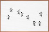 JUNIQE - Poster met kunststof lijst Snow Penguins -13x18 /Wit & Zwart