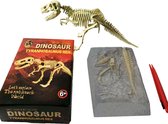 Dinosaurus opgravingsset - T-Rex - Speelgoed - Dino fossiel - Tyrannosaurus rex
