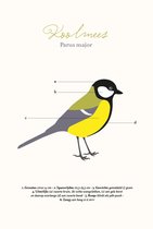 Poster - koolmees - schoolplaat - 20x30 cm - wanddecoratie - vogel