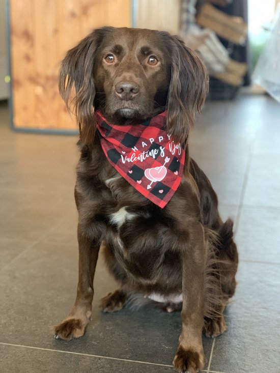 Valentijns honden bandana rood - happy valentines day - hond - katoen - one size - slabber -halsdoek voor honden