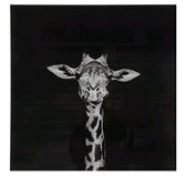 Decostar-Schilderij Giraffe-Wildlife L-zwart/wit