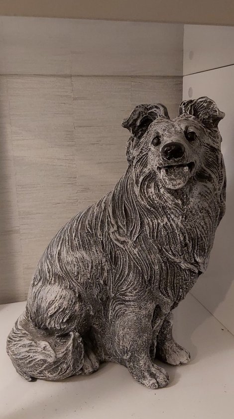 Border collie hond beeld gemaakt uit beton 35cm hoog bordercollie