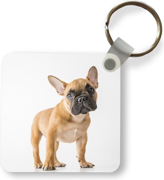 Sleutelhanger - Franse Bulldog - Bruin - Wit - Plastic - Rond - Uitdeelcadeautjes