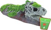 Boon aqua deco ornament dinosaurus skelet, 21x9 cm.