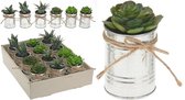 Mini nep vetplantjes in pot - Groen / Zilver - Kunststof / Metaal - Assorti - Set van 2 - Vetplant - Plant - Nepplant - Accessoires - Interieur