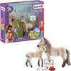 foto van Schleich Horse Club - Hannahs verbanddoos - Speelfigurenset - Kinderspeelgoed voor Jongens en Meisjes - 5 tot 12 jaar - 7 Onderdelen