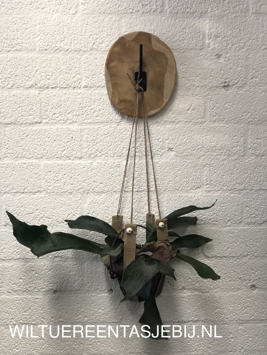 Foto: Plantenhanger jute per 2 decoratie huis plantenhanger wandhanger hangende bloempot plantenhanger duurzaam binnen buiten hangplant kunstplant droogbloemen plantenpot bloempot handgemaakt woonaccessoires kruidenplanten macrame