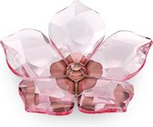 Swarovski Garden Tales Magneet Kersenbloesem, Groot 5580026