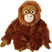 Pluche Orang Utan aap knuffel van 22 cm - Dieren speelgoed knuffels cadeau - Apen