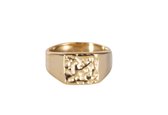 Gabija - Zegel Ring - Goud - Dottilove - 14k Goud Verguld - Maat 17