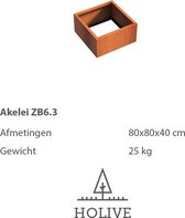 Cortenstaal Akelei ZB6.3 Vierkant zonder bodem 80x80x40 cm. Plantenbak