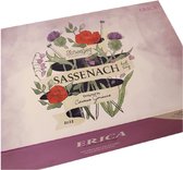 Scheepjes KAL2022 Sassenach Metropolis - 1st - Erica
