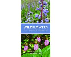 Wildflowers of the Indiana Dunes National Park