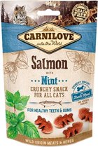 CRUNCHY SNACK SALMON/MINT 50GR
