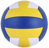 Happy products volleybal - jeugdvolleybal - strandbal - bal gekleurd