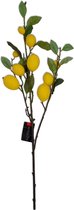 Colmore - Paastakken - Citroen takken - Geel - Decoratieve voorjaars takken - 103cm