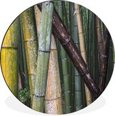 WallCircle - Wandcirkel - Muurcirkel - Vele soorten bamboe in het Bamboebos van Arashiyama in Japan - Aluminium - Dibond - ⌀ 60 cm - Binnen en Buiten