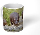 Mok - Nijlpaarden - Water - Zuid-Afrika - 350 ML - Beker