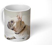 Mok - Frans Bulldog - Wit - Bank - 350 ML - Beker