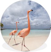 WallCircle - Wandcirkel ⌀ 30 - Twee trotse flamingo's lopen over het strand - Ronde schilderijen woonkamer - Wandbord rond - Muurdecoratie cirkel - Kamer decoratie binnen - Wanddecoratie muurcirkel - Woonaccessoires