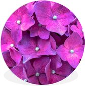 WallCircle - Wandcirkel ⌀ 120 - Close-up roze hortensia bloemen - Ronde schilderijen woonkamer - Wandbord rond - Muurdecoratie cirkel - Kamer decoratie binnen - Wanddecoratie muurcirkel - Woonaccessoires XXL