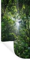 Muurstickers - Sticker Folie - Zon breekt door de bomen van het oerwoud in het Nationaal park Corcovado - 60x120 cm - Plakfolie - Muurstickers Kinderkamer - Zelfklevend Behang - Zelfklevend behangpapier - Stickerfolie