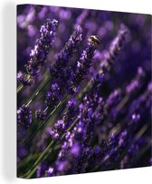 Canvas Schilderij Close-up van lavendel met bij - 90x90 cm - Wanddecoratie