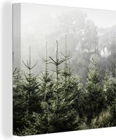 Canvas Schilderij Mist rond een paar dennenbomen - 50x50 cm - Wanddecoratie