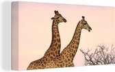 Canvas Schilderij Giraffes - Lucht - Landschap - 40x20 cm - Wanddecoratie