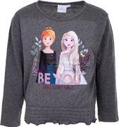 Frozen Disney Longsleeves - t-shirt - katoen - grijs - 128 cm - 8 jaar