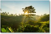 Bali Jungle - 90x60 Canvas Liggend - Minimalist - Landschap