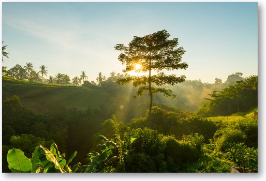 Bali Jungle - 90x60 Canvas Liggend - Minimalist - Landschap