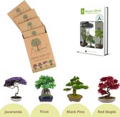 B-seed Zaden Set Incl. e-Book Bonsai Zaden Kweken - Boompje in Pot - Kamerplanten - Kweekset – Cadeau Man & Vrouw - Geschenkset