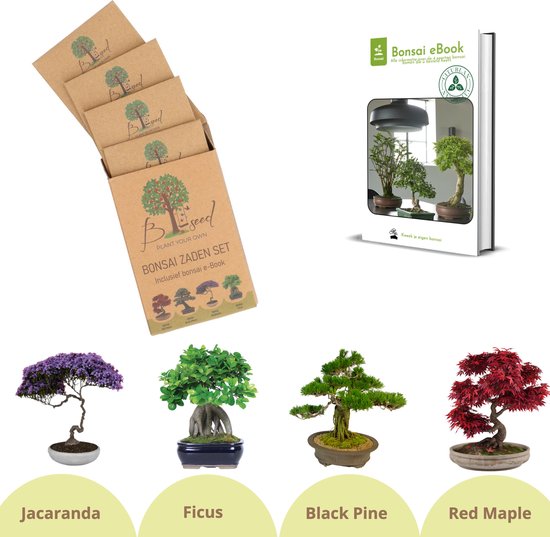 Graines de bonsaï - Kit de démarrage Bonsaï - Cultivez vos eigen bonsaïs -  4 types de... | bol.com
