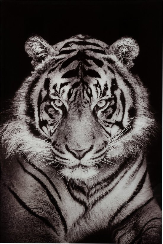 J-Line décoration Murale Tigre - verre trempé - noir/blanc