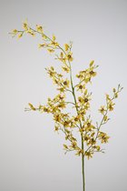 kunstplant - Orchidee in pot - butterfly - topkwaliteit plant - kamerplant - wit - 24 cm hoog