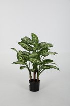 Dieffenbachia Candida kunstplant - Aronskskelk - zijdenplant - topkwaliteit kunstplant - 70 cm hoog