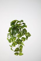 kunstplant - Pothos - Hedera- topkwaliteit plant - hangplant - groen - 50 cm hoog