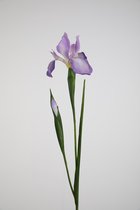 Kunstbloem - Iris - topkwaliteit decoratie - 2 stuks - zijden bloem - paars - 75 cm hoog