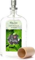 Boles d'olor - Roomspray 100 ml - I love Mint