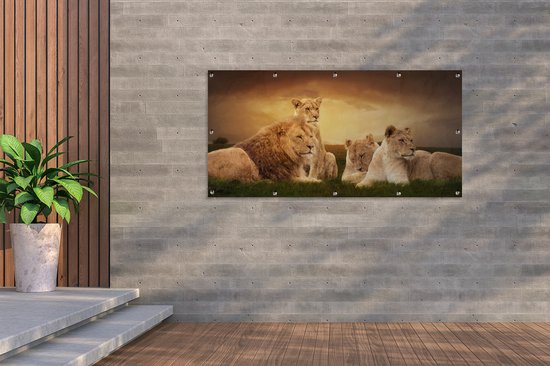 Affiche de clôture Lions - Herbe - Ciel - 200x100 cm - Toile de jardin