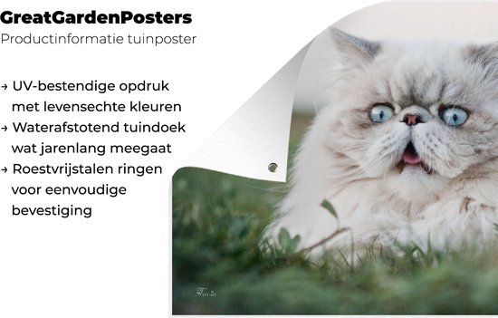 Tuinposter 120x90 cm - Tuindecoratie Grijze Perzische kat met lichtblauwe ogen - Poster voor in de tuin - Buiten decoratie - Schutting tuinschilderij - Tuindoek muurdecoratie - Wanddecoratie balkondoek