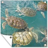 Tuinposters Schildpadden die samen in het helderblauwe water bij Grand Cayman zwemmen - 50x50 cm - Tuindoek - Buitenposter