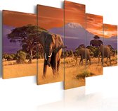 Schilderij - Africa: Elephants.