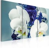 Schilderij - Hersenschim orchideeën.