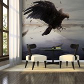 Fotobehangkoning - Behang - Vliesbehang - Fotobehang - Roofvogel - 450 x 270 cm