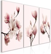 Schilderij - Spring Magnolias (3 Parts).