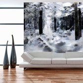 Fotobehang - Winter forest.