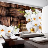 Fotobehang - Blooming orchids.